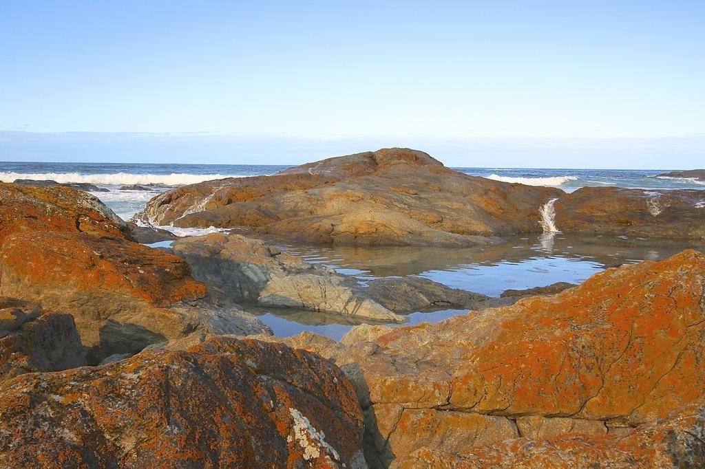 Saltwater - Absolute Oceanfront, Fire Pits, Some Villas With Hot Tubs And Sauna Falmouth Zewnętrze zdjęcie