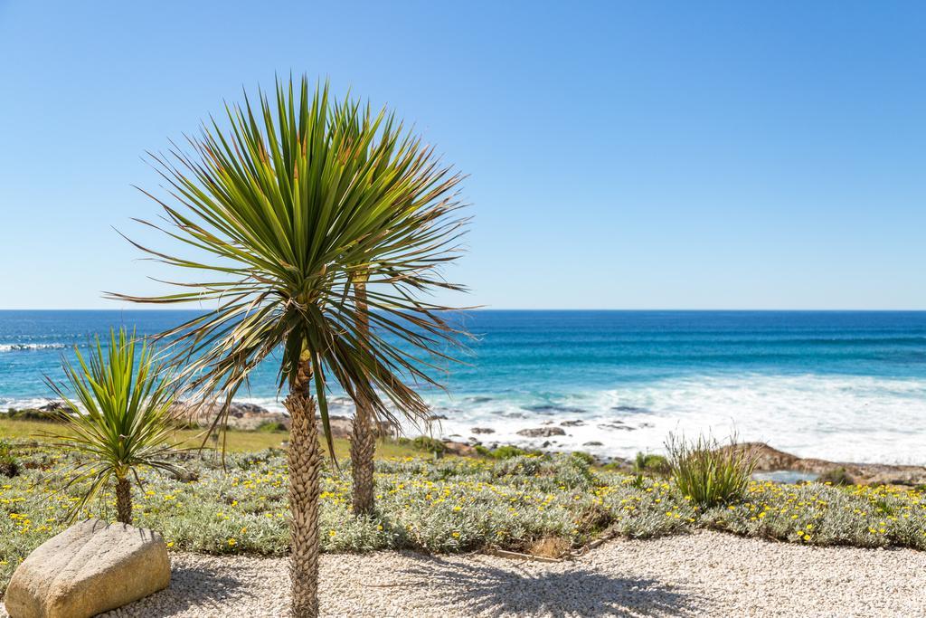 Saltwater - Absolute Oceanfront, Fire Pits, Some Villas With Hot Tubs And Sauna Falmouth Zewnętrze zdjęcie